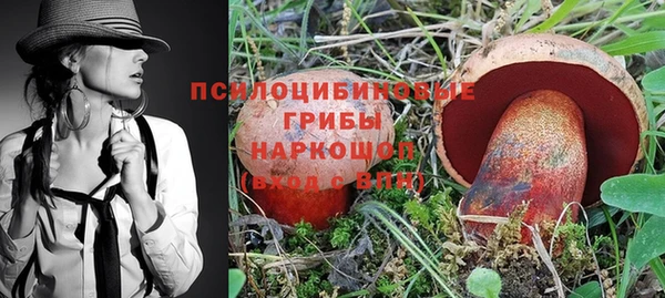 гидра Красноперекопск