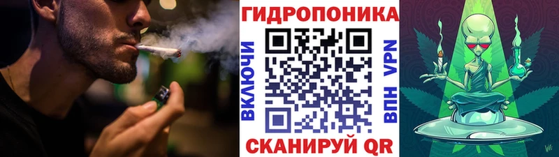 Купить  Высоцк  Бошки Шишки VHQ 